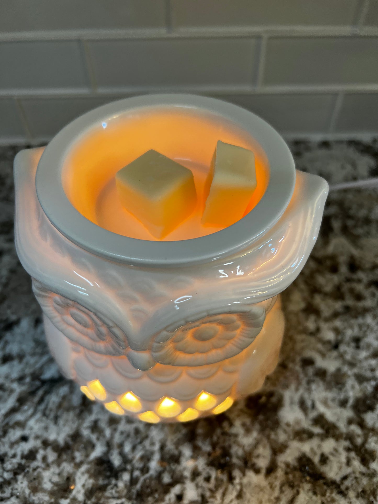 Wax Warmer, Ceramic Owl Design, Electric - Mystic Candles and Soaps LLC